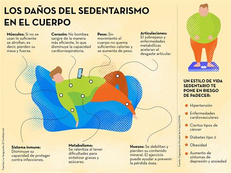 qué es el sedentarismo-4